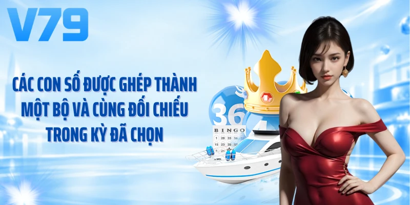 Các con số được ghép thành một bộ và cùng đối chiếu trong kỳ đã chọn